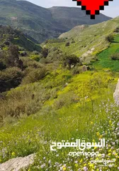  10 3،400دونم ماحص وادي شعيب الفحيص  استخدام سياحي سكني زراعي يكمن شقة قبول شقة  عمان الغربيه من ثمن