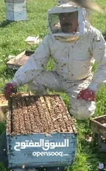  7 مناحل سوار العسل لبيع كافة منتجات النحل