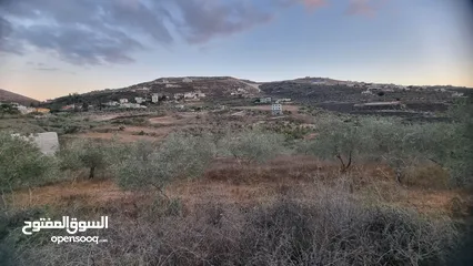  1 ارض في اجنسنيا كوشان مستقل مساحتها 1130 م صافي