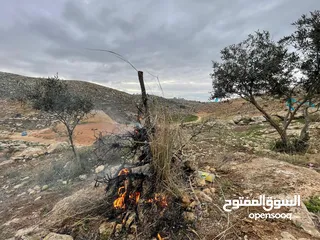  3 ارض بسعر مغري