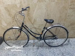  2 بطه للبيع حجم 27