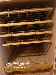  3 فقاسه اوتوماتيك سعتها 500-700 بيضه بحاله جيده