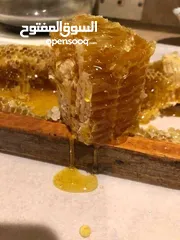  1 عسل .. عسل حبوب لقاح
