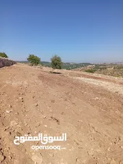 19 مزرعه للبيع في جرش سوف منطقه الظهره الشماليه