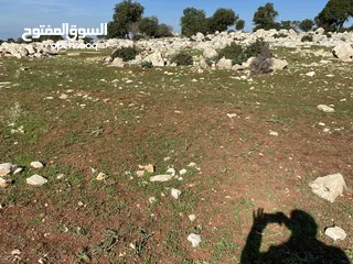  10 ارض للبيع في عجلون
