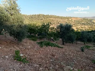  4 أرض للبيع في عنجره منطقة شمسين