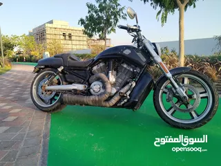 1 Harley Davidson