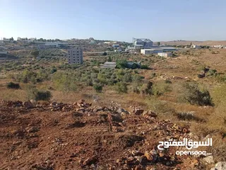  2 800متر مربع طابوا فلسطيني موقع مميز وجميل