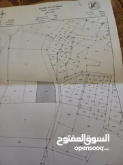  2 ارض زراعيه للبيع بمنطقه مادبا التيم الغربي