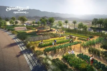  5 All new Sifah Farms in Jebel Sifah  مشروع المزارع الجديد، جبل سيفة