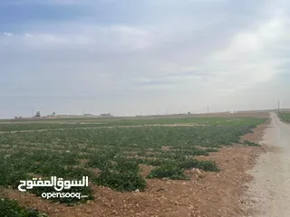  9 ارض زراعية في بلعما للبيع مساحتها 3500 متر
