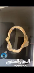  7 إطار فك المفترس .. القرش. حجم كبير  Jaws frame for sale. Shark