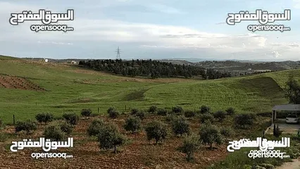 3 ارض للبيع مساحه 3 دنمات و 400م  مفروزه قزشان مستقل من المالك