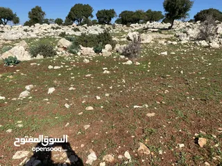  11 ارض للبيع في عجلون