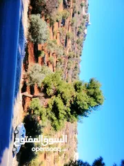  4 أرض للبيع مساحة 4500م2 قوشان مستقل جرش