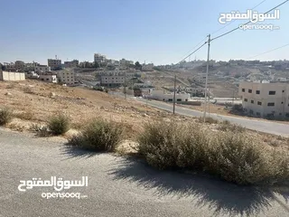  4 ارض 501 متر على شارعين للبيع صالحية العابد