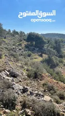  2 ارض للبيع في دير غسانة