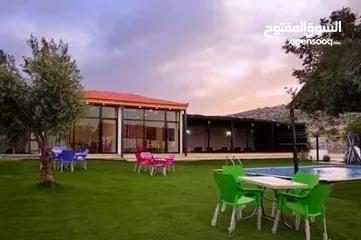  21 مزرعه شم النسيم للإيجار في بيرين صروت