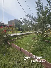  4 بستان للبيع قرب جسر السراجي