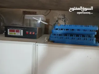  2 فقاسه للبيع