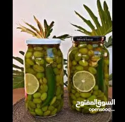  8 زيت زيتون (جبال عجلون)