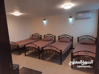  6 شاليه للايجار خصوصيه كامله  جرش - المجدل مطل على سد الملك طلال