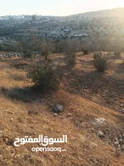  3 مكتب  زمزم للتسويق العقاري