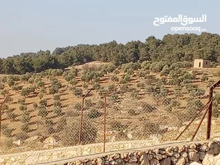  15 500متر بقوشان مستقل إسكان المهندسين بالقمه اطلاله غربيه شمالية جنوبية.منطقة شاليهات.