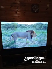  5 شاشه مجيك 75انش سمارات 4كيه اوامر فل الفل شراء شهر 1 فل سمارت صوت ميوزك ورياضي وتوفير كهرباء
