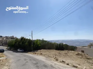  6 ارض مميزه للبيع خلف قصر الاميره بسمه