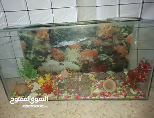  2 حوض سمك سعر حرق