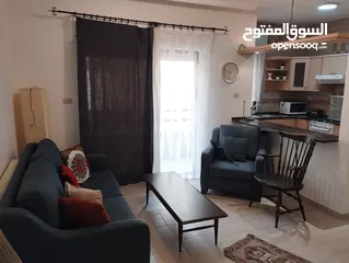  1 شقة مفروشة للايجار عبدون