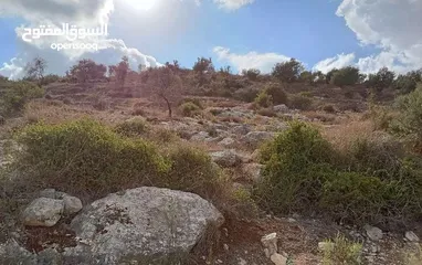  1 ارض بناء ميري
