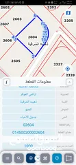  2 للبيع قطعة أرض 1 دونم في الذهيبه الشرقيه شارعين
