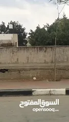  12 بسكليت كهرباء للبيع بسعر طحن نااااااااااااار (طاااااااااااحن) في سلفيت 2024