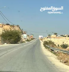 12 أرض للبيع اريحا الديوك لقطة