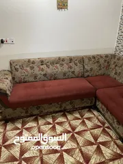  4 تخم قنفات ديوان