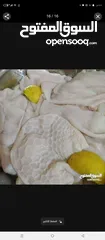  25 كرشات وفوارغ على كيفك كيفك