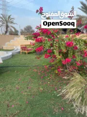  25 مزرعة جميله عائليه هادئه تصلح للحفلات للإيجار اليومي في رأس الخيمة