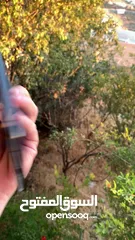 19 ايفون 11 برو ماكس 256 جيجا بطارية 100٪؜ نموذج M مغير بطارية فقط فش اشي تاني مغير جهاز مرتب