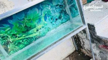  4 حوض سمك للبيع جميع أغراضه معه طول متر وربع عرض نص متر عمق نص متر