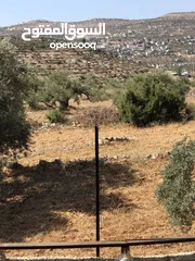  2 ارض زراعية سكنية