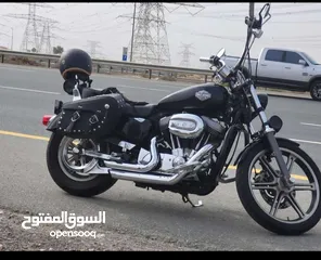  1 هارلي سبورتستر 1200 موديل 2008