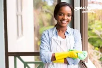  6 cleaning  services  part-time