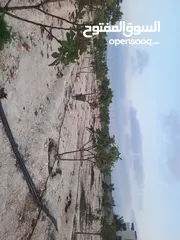  7 بيع ارض مع مزارع وع فبلا ججر