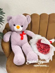  5 جميع محافظاااات