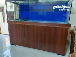  1 حوض سمك متر ونص مع طاوله. بحال الوكاله