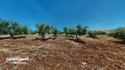  27 مزرعة رائعة مع مسبح خاص ذات اطلالة رائعة في منطقة النعيمة -اربد للبيع من المالك