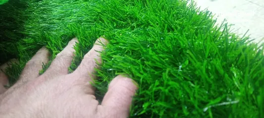  3 عشب صناعي باقل اسعار
