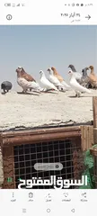  2 حمام للبيع